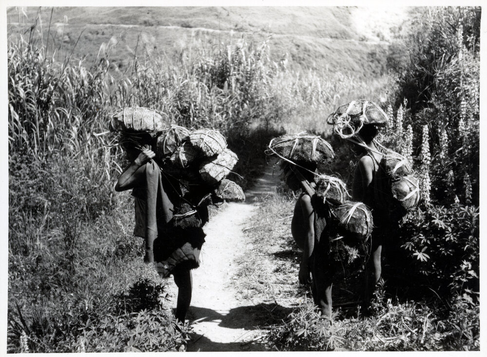Group Carrying Net Bags