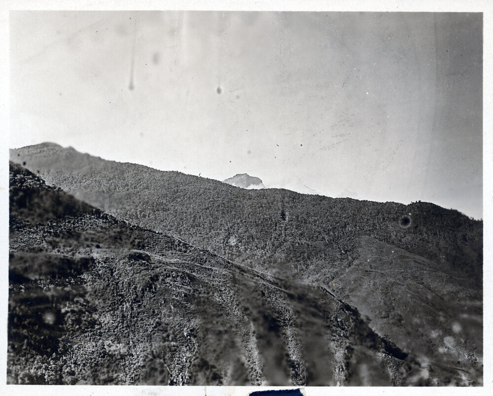 Mountainside with Mount Yule in Background