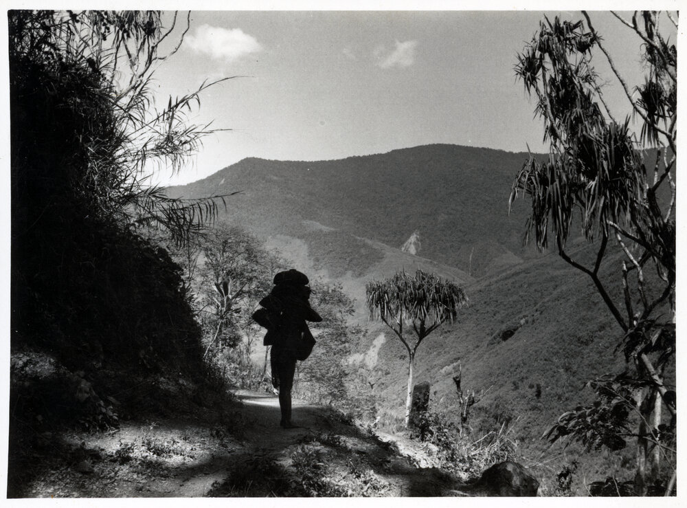 Figure Walking on Mountain Path