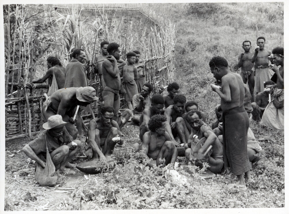 Group Gathered by Fence