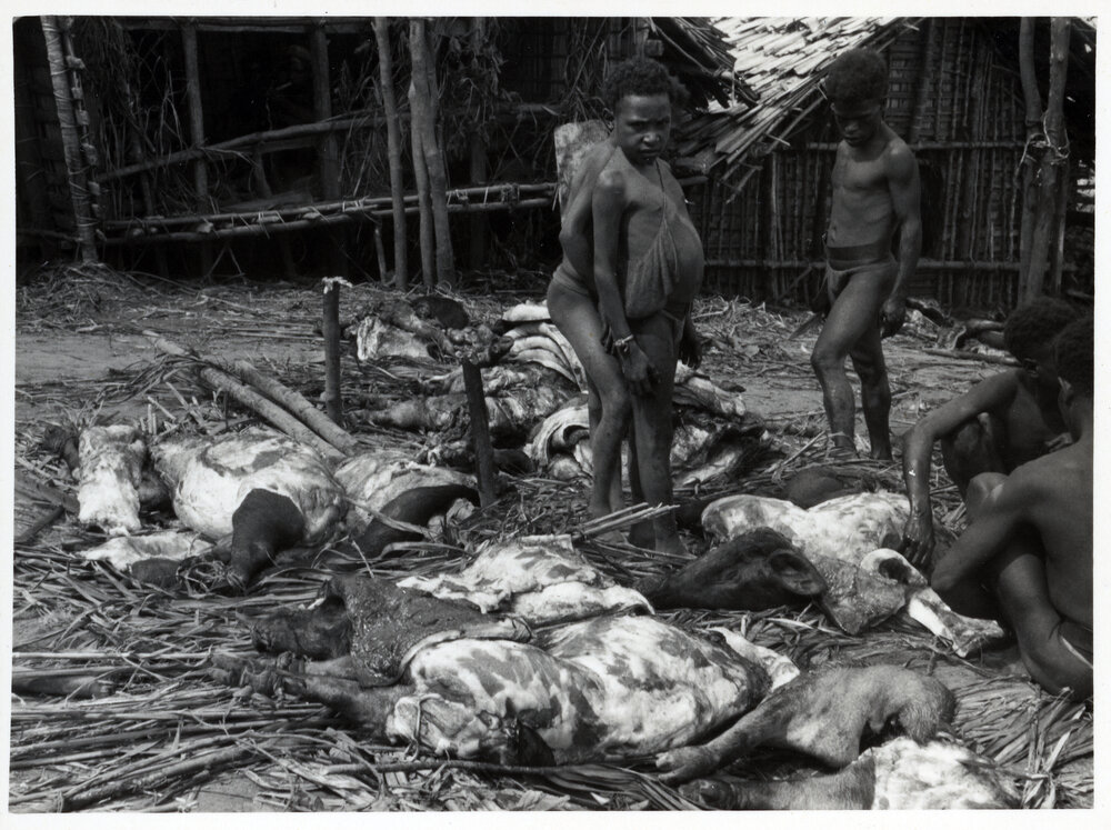 Children Standing By Pig Carcasses