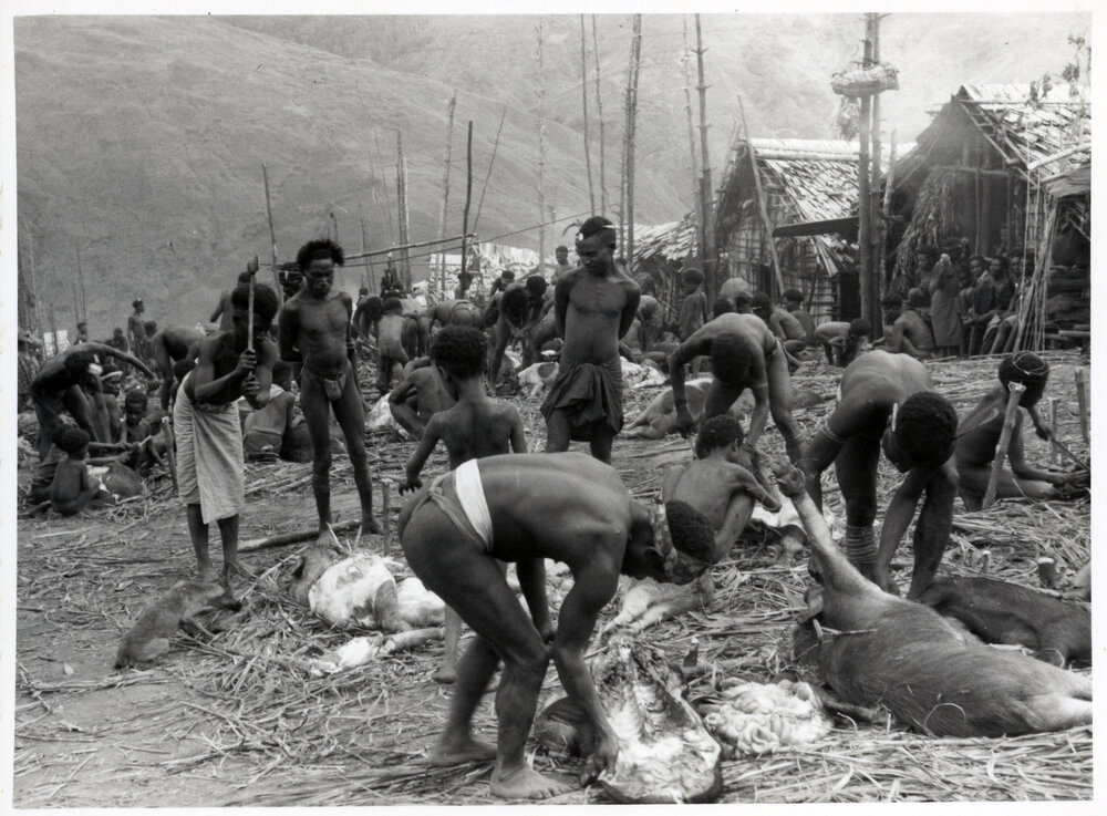 Group Preparing Pigs for Ceremony