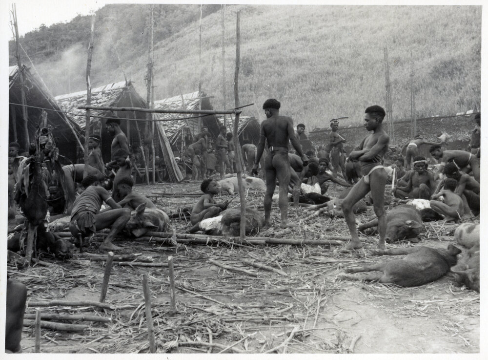 Group Preparing Pigs for Ceremony