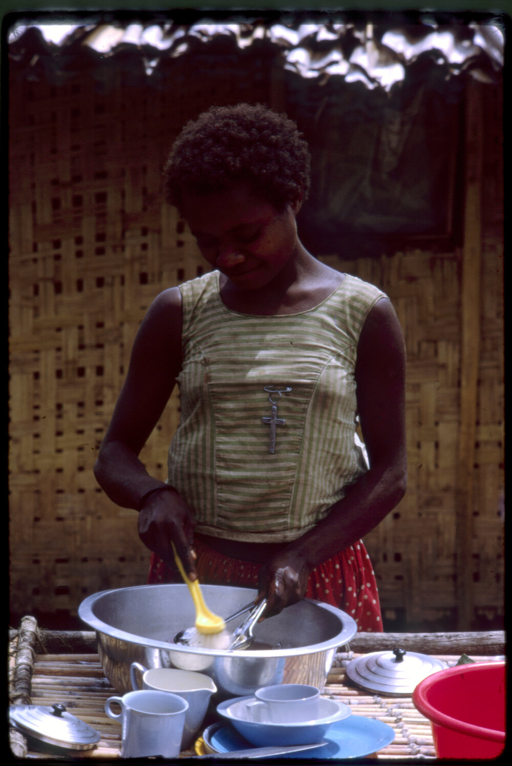 Woman Cleaning Dishes