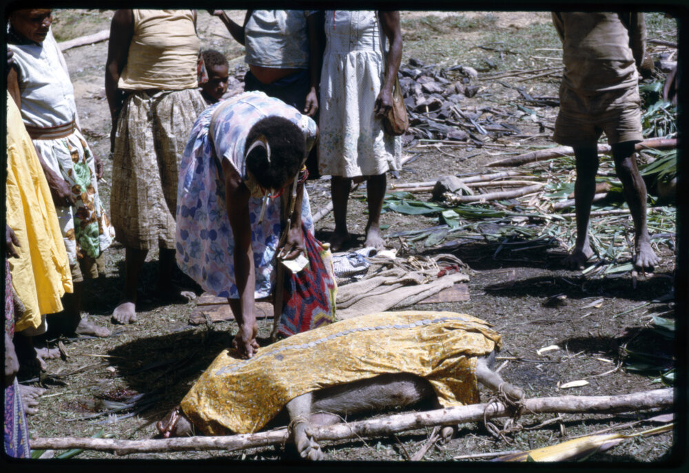 Women Preparing Pigs for Ceremony