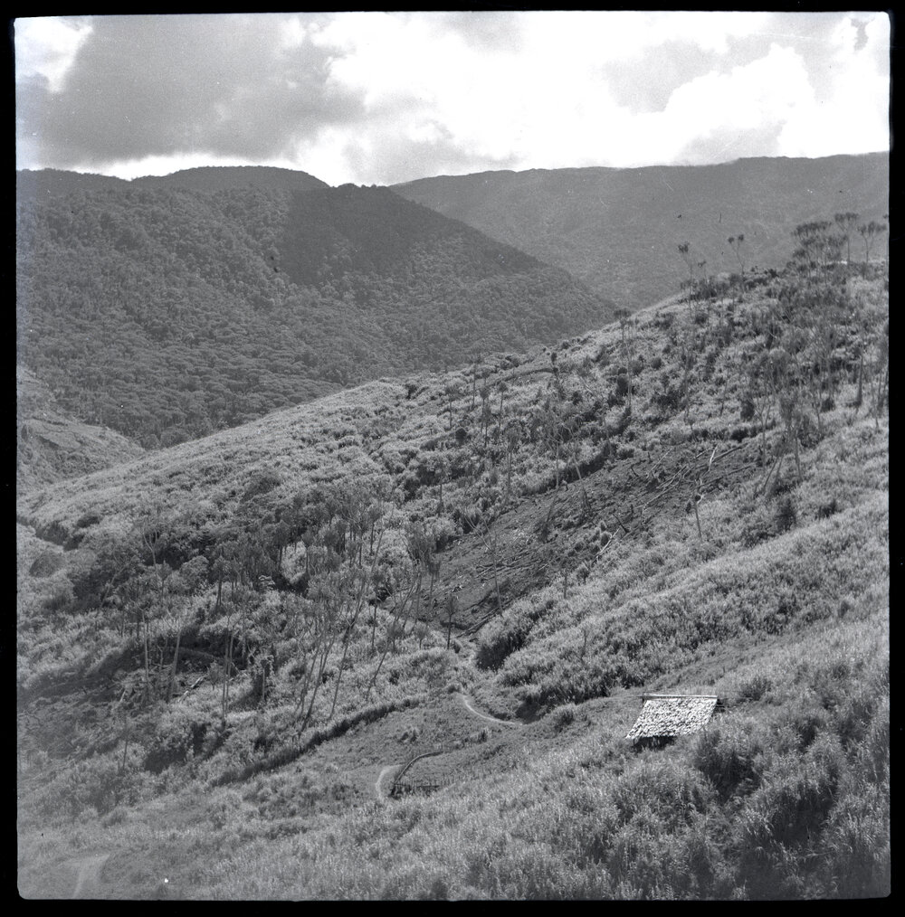 Valley, Papua New Guinea