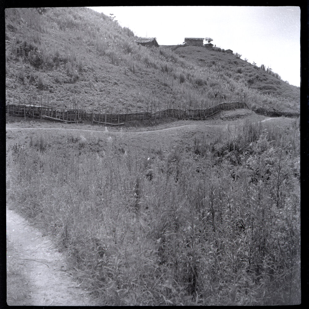 Hill Path, Papua New Guinea