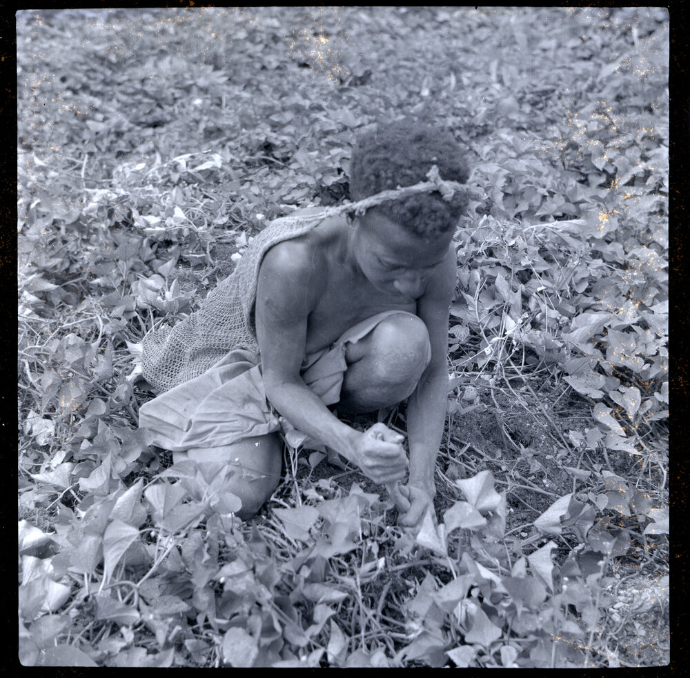 Woman with Net Bag in Field