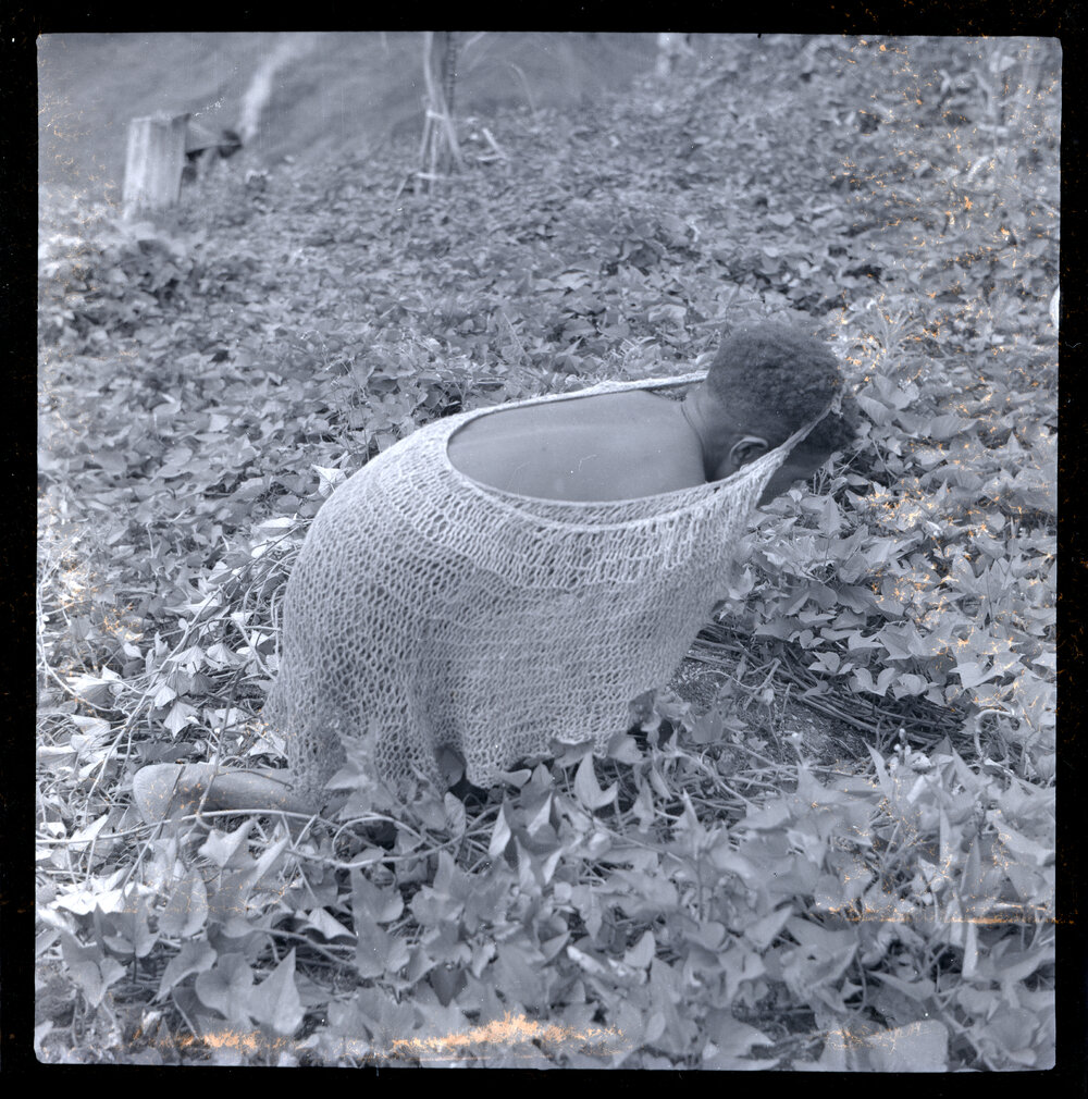 Woman with Net Bag in Field