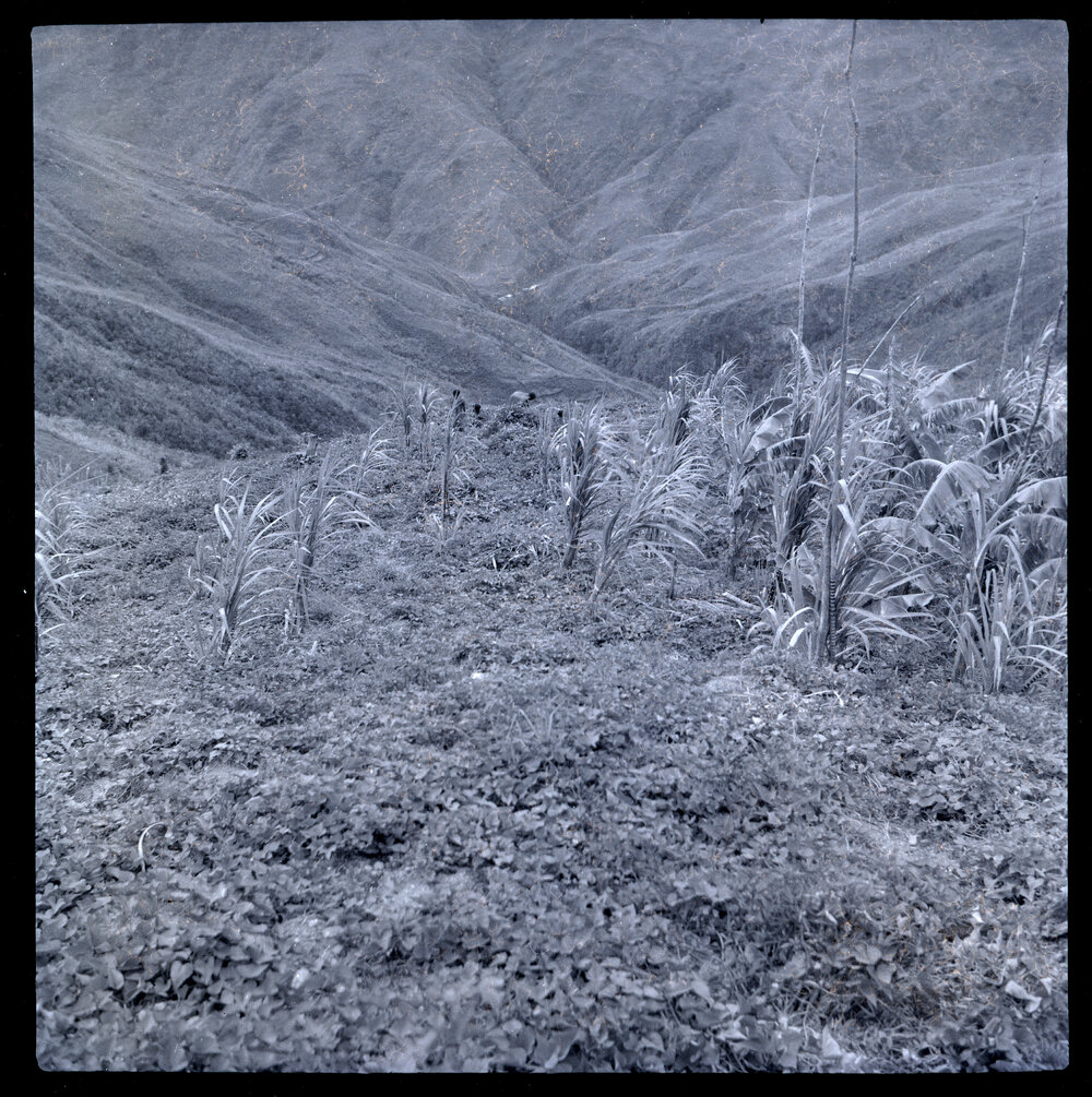 Mountainside With Line of Figures in Distance