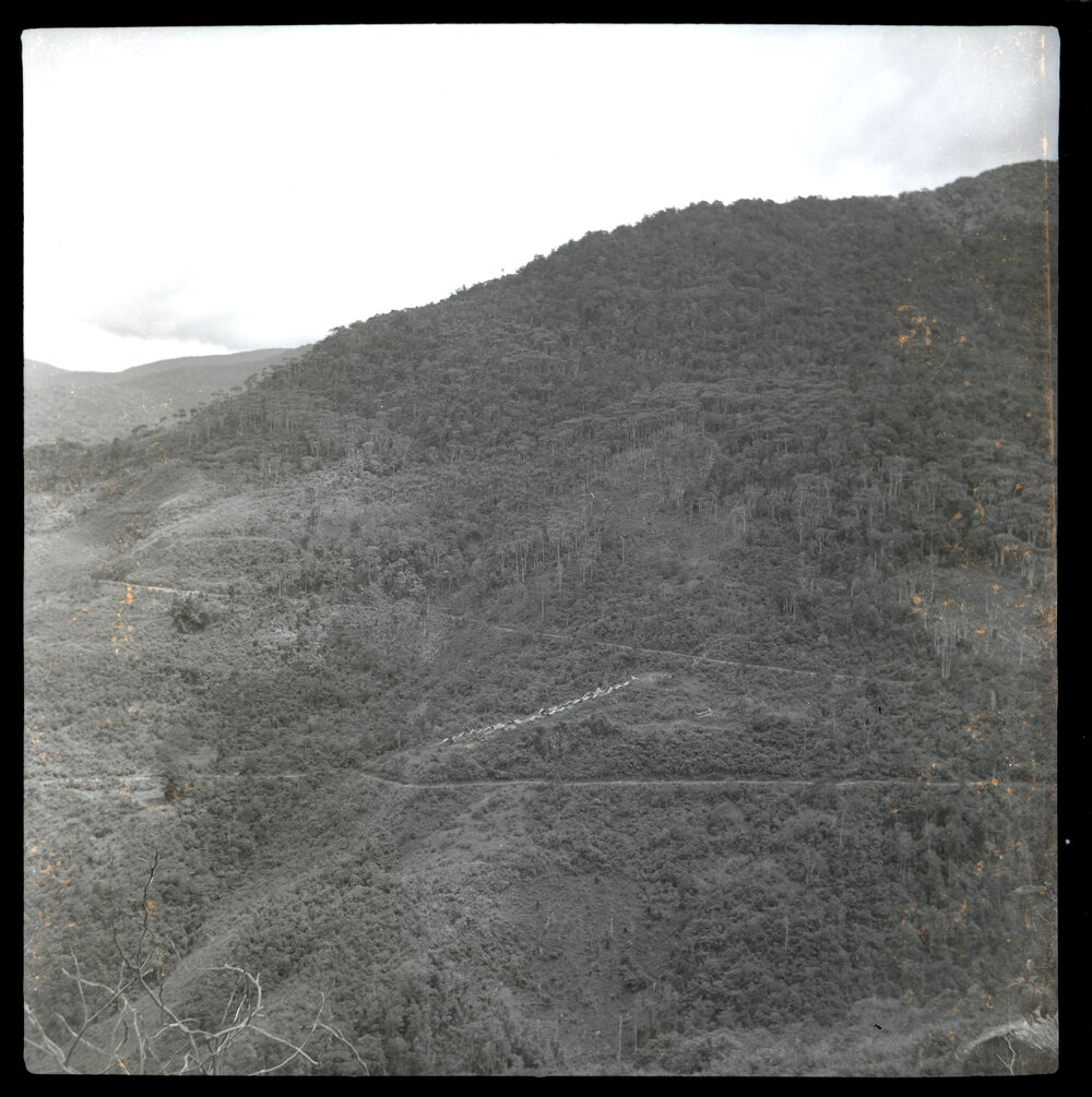 Mountainside, Papua New Guinea