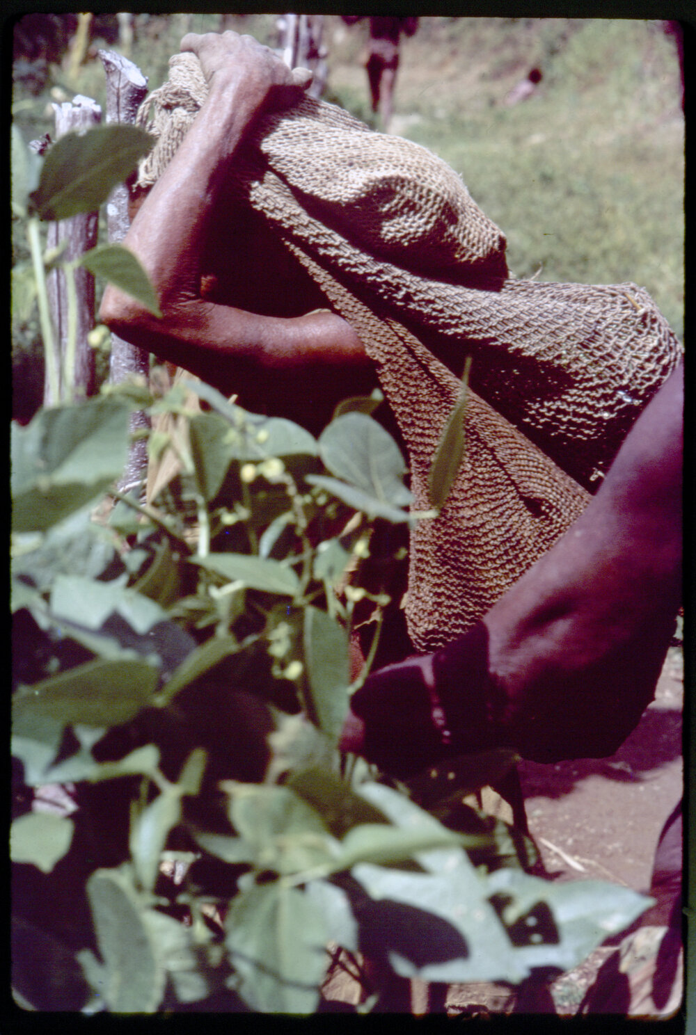 Woman Carrying Net Bags