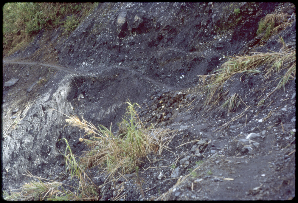 Narrow Mountain Path, Papua New Guinea