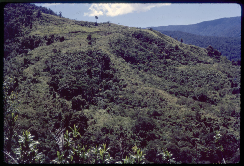 Mountainside, Papua New Guinea