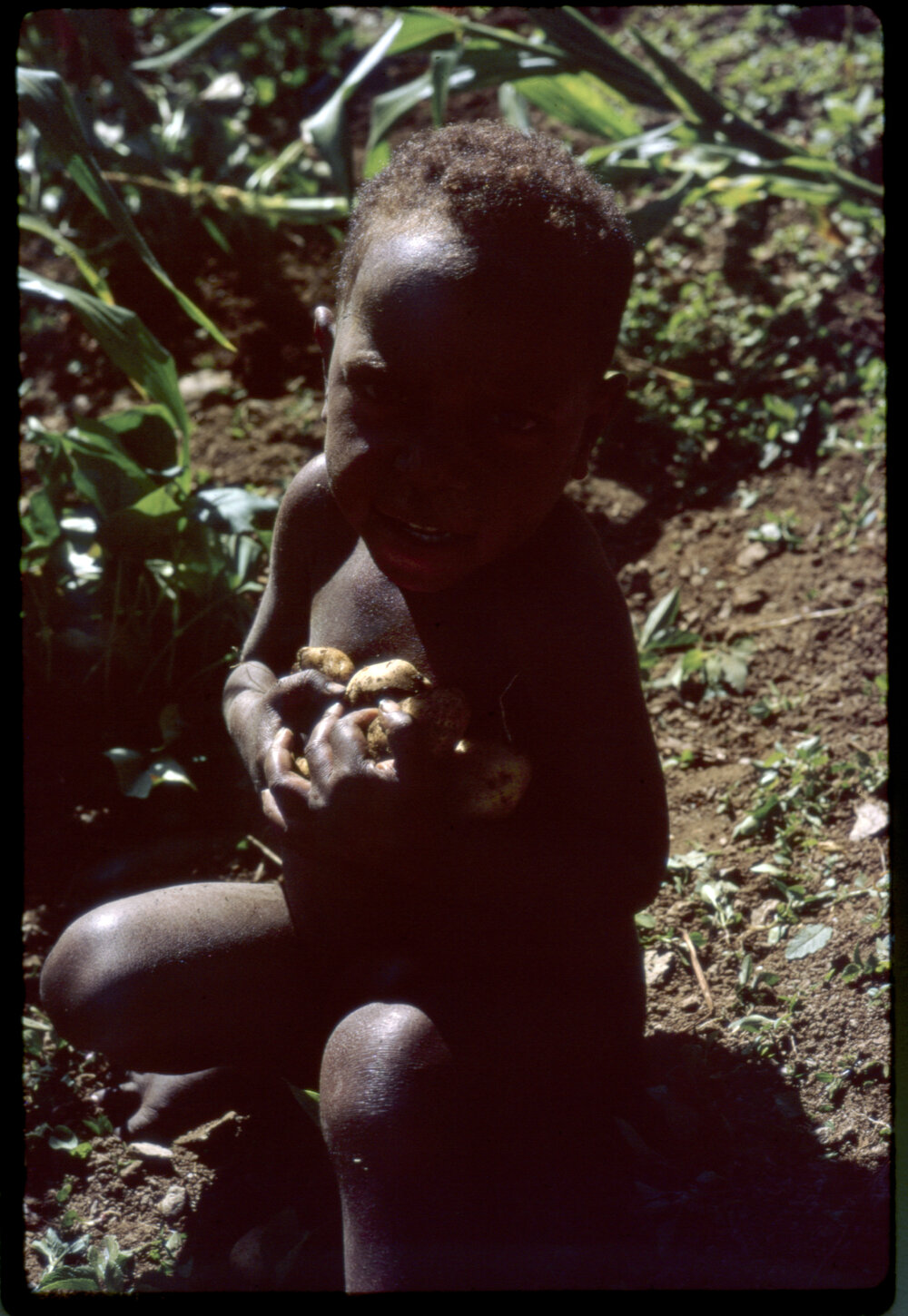 Child Carrying Sweet Potatoes