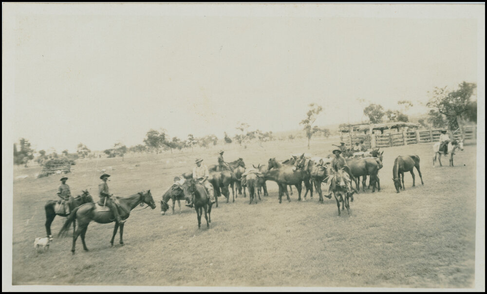 Kimberley Mustering Point