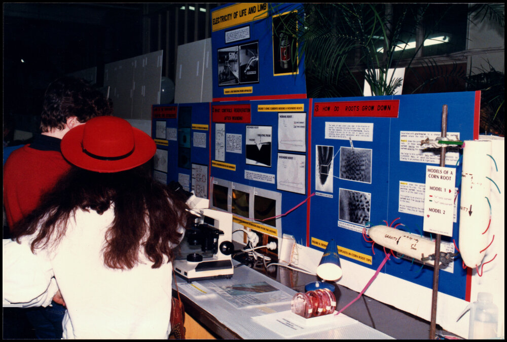 Botany Poster Display at Open Day 1988