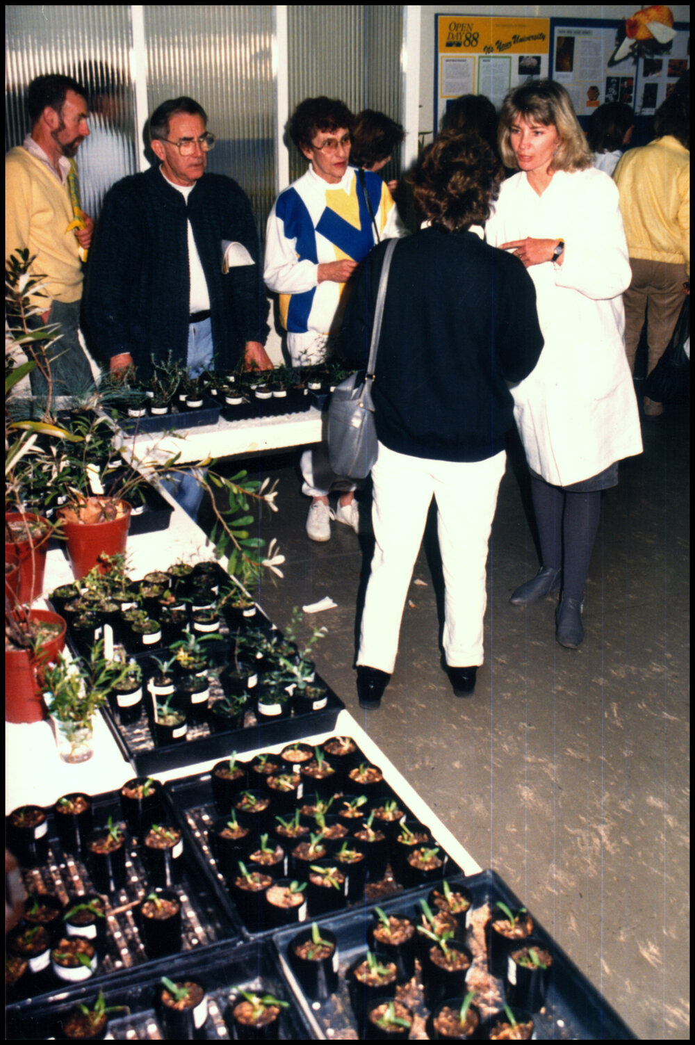 Chery Marvell at Open Day 1988