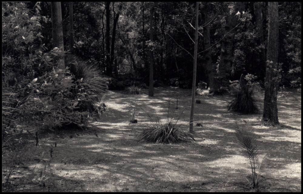 Crommelin Biological Research Station, Warrah, at Pearl Beach