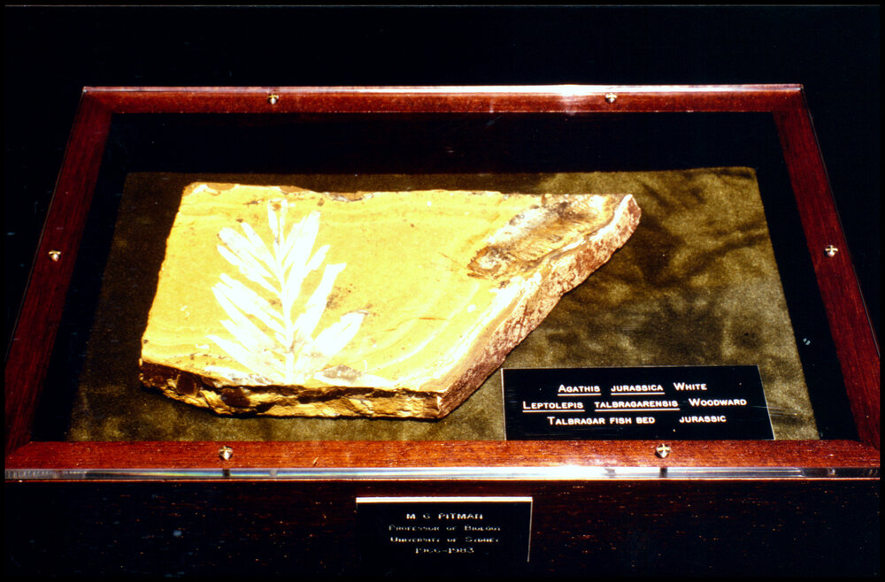 Michael Pitman's Farewell Gift