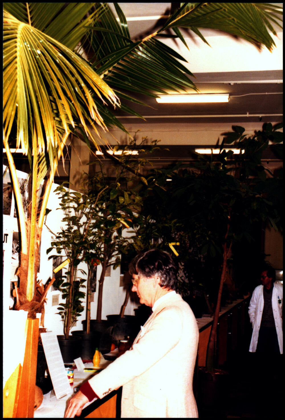 Botany Display at Open Day 1984