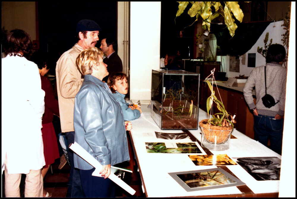 Botany Display at Open Day 1984