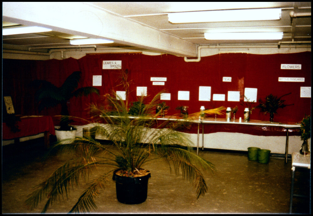 Botany Display at Open Day 1984