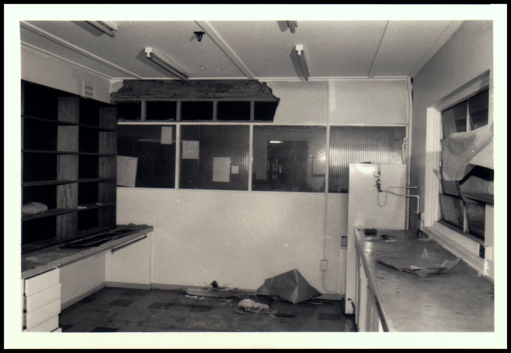 Botany Annexe White Ant Damage