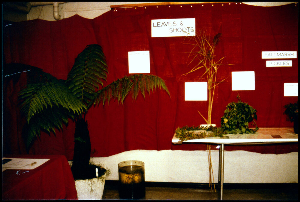 Leaves and Shoots Display at Open Day 1984