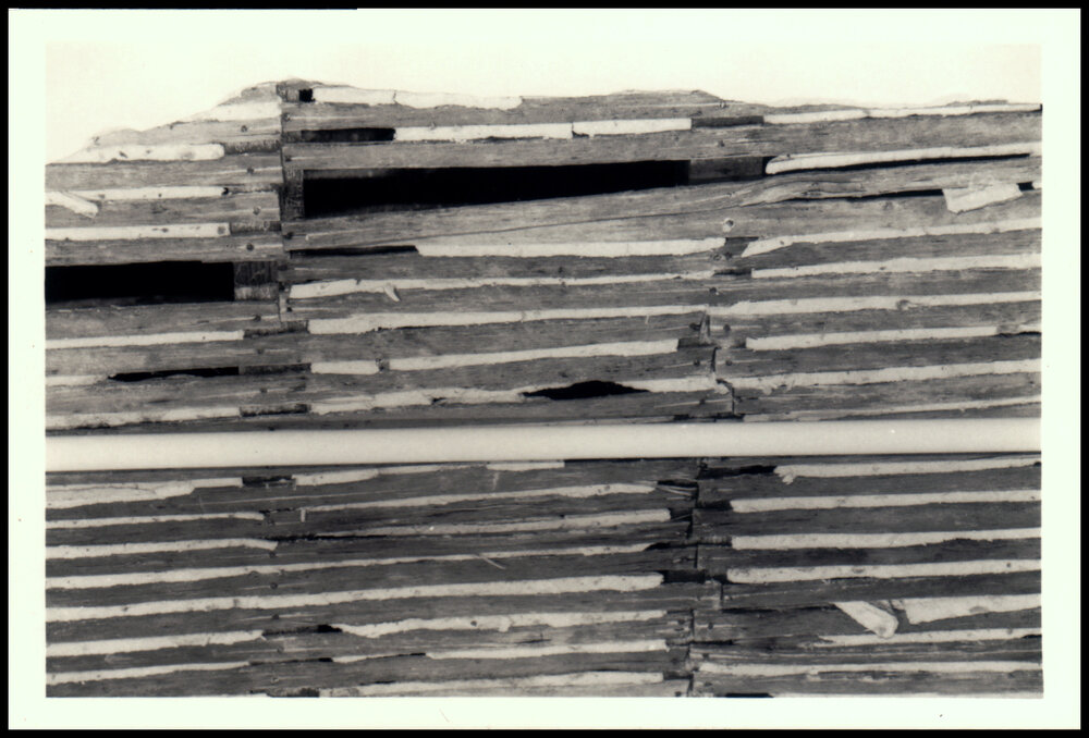 Botany Room 241 Roof Damage