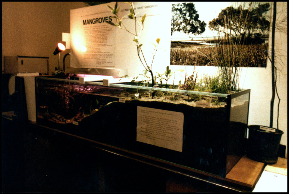Botany Display at Open Day 1984
