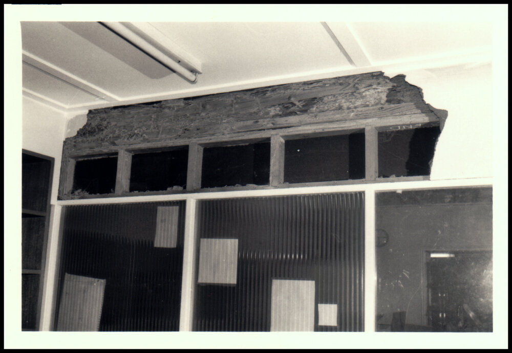 Botany Annexe White Ant Damage