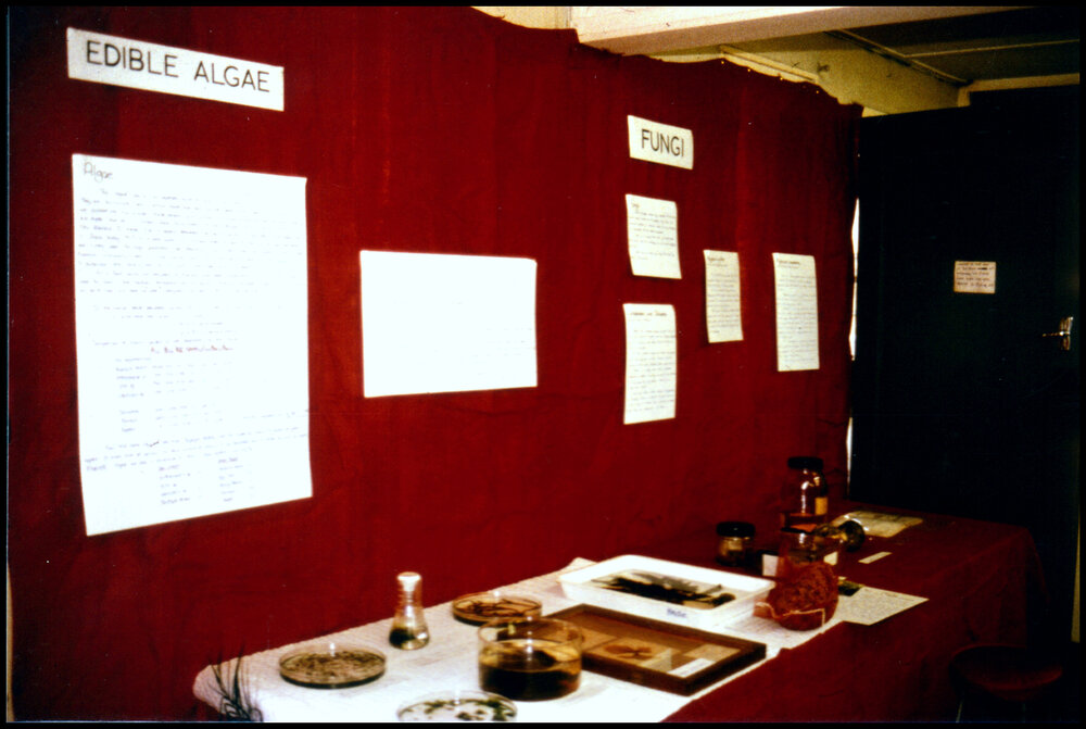 Algae and Fungi Display at Open Day 1984