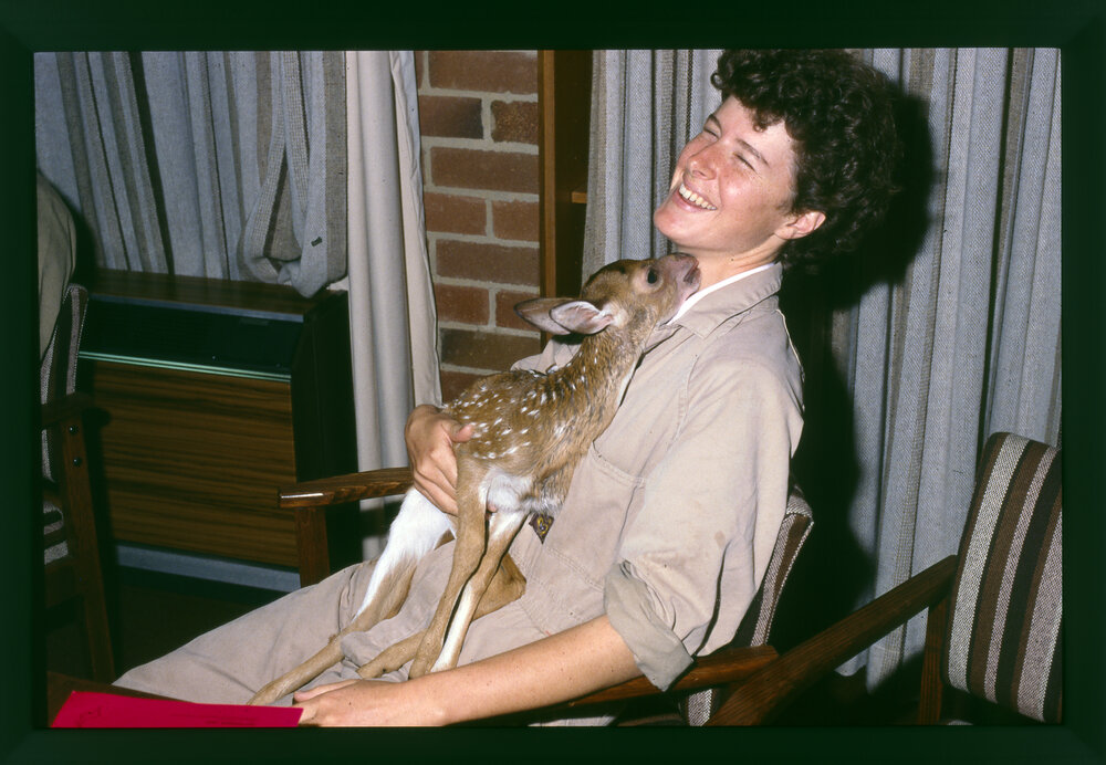 PhD Student with Baby Chital Deer