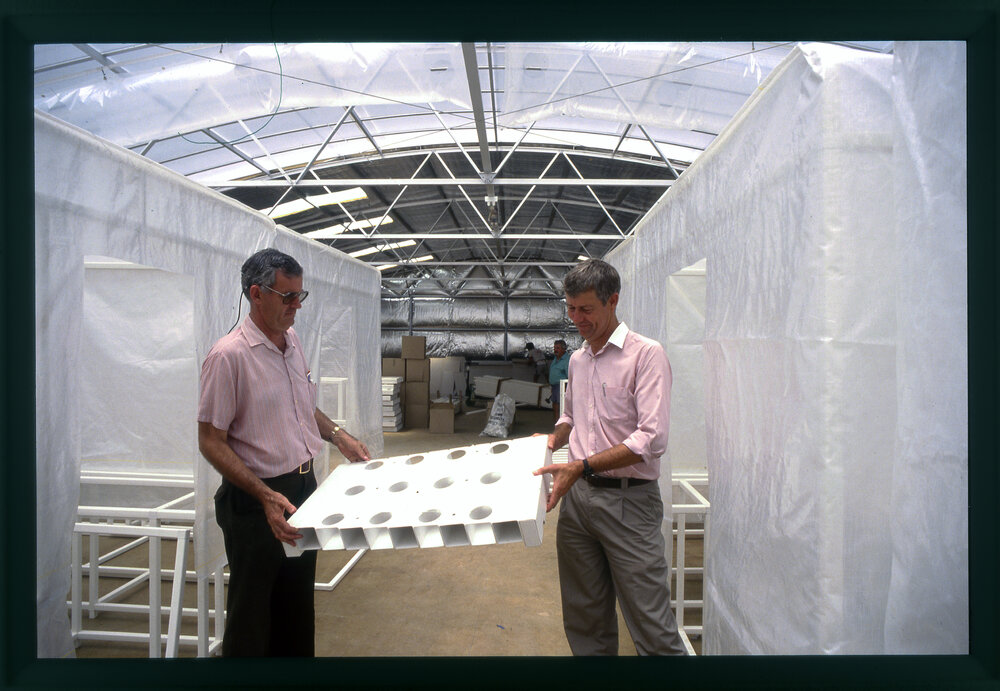 Plant Breeding Institute, Camden
