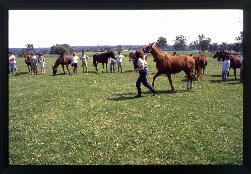 Agriculture Students in Horse Paddock, Camden