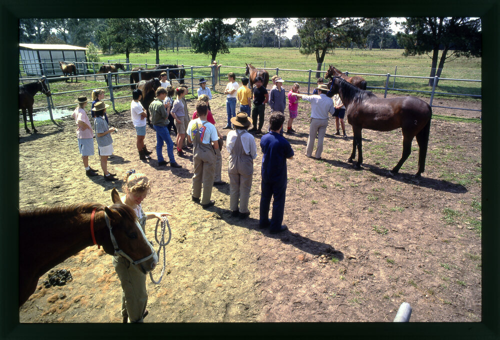 Agriculture Students in Horse Pen, Camden