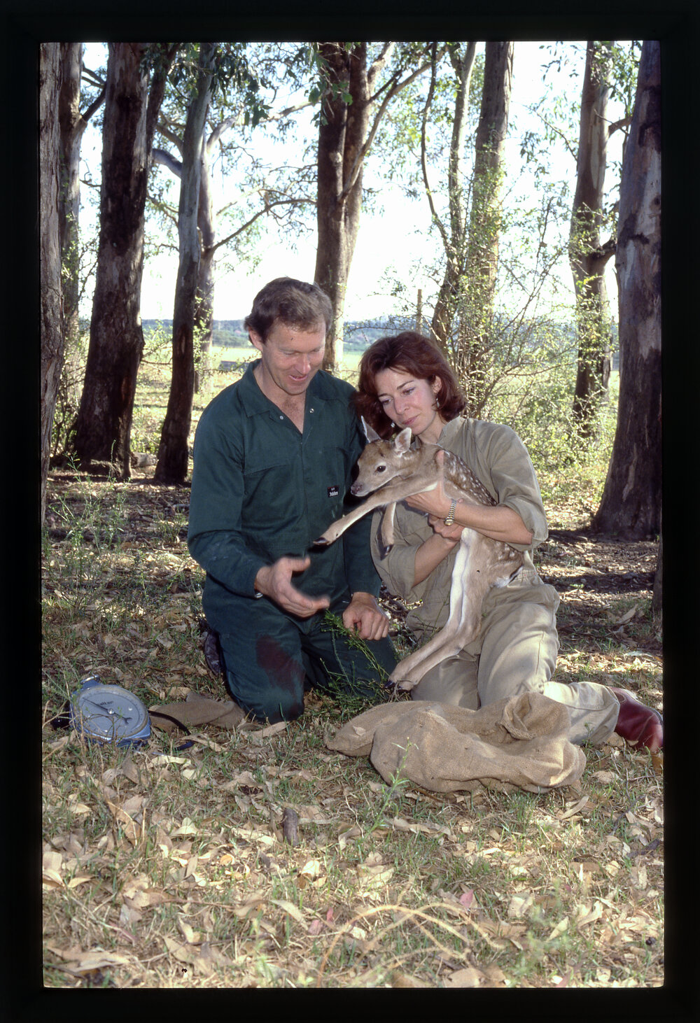 Male and Female with Chital Deer, Camden