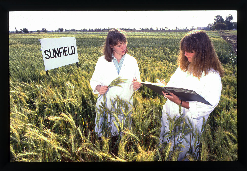 Louisa Robertson and Nicky Bailey at Narrabri Plant Breeding Institute