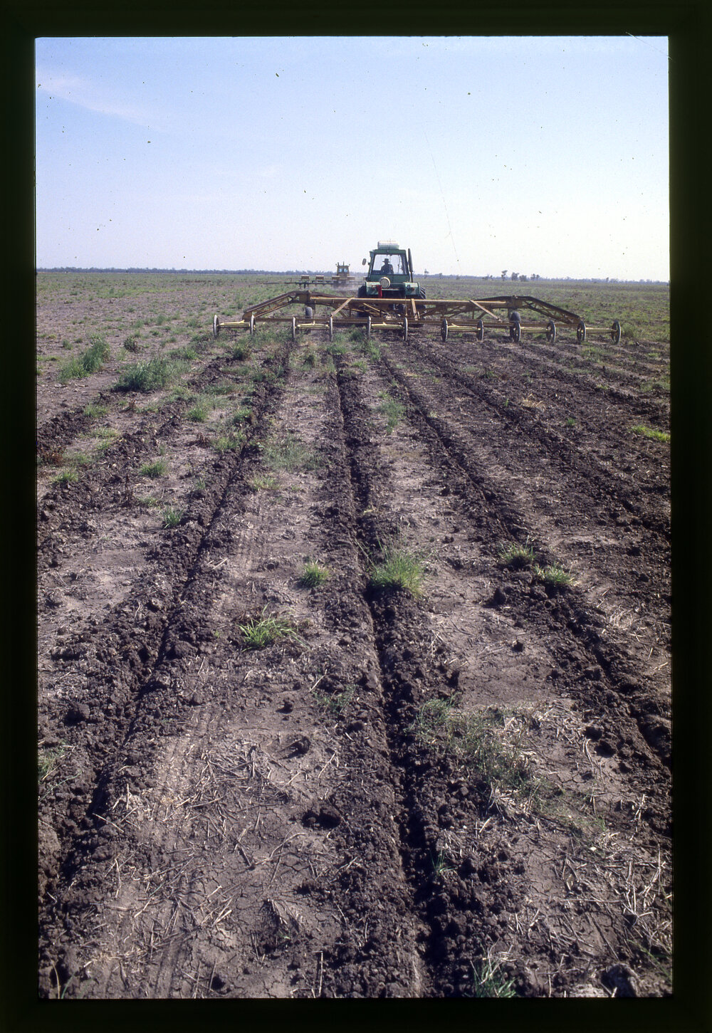 Sowing Sorghum at Livingston Farm Moree