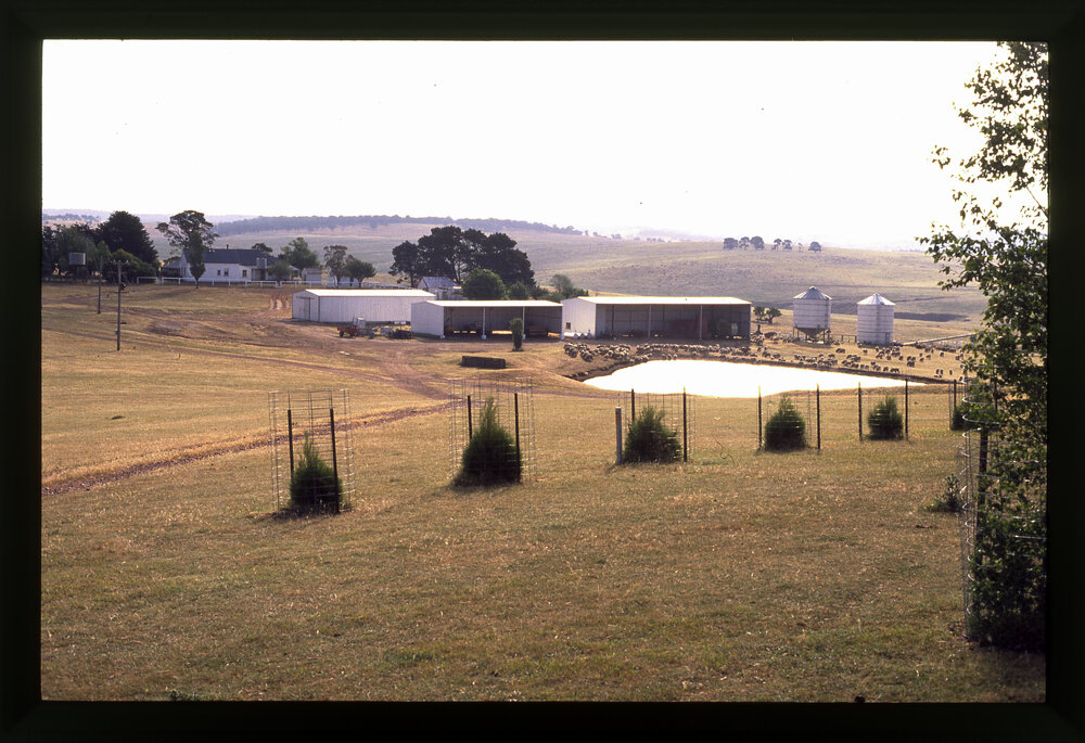 Livingstone Farm, Moree