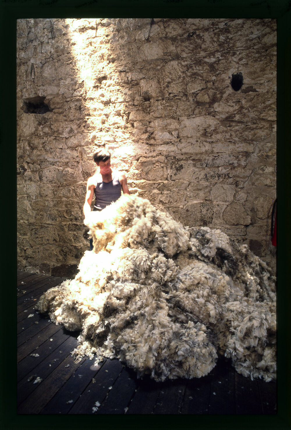 Man Examining Wool