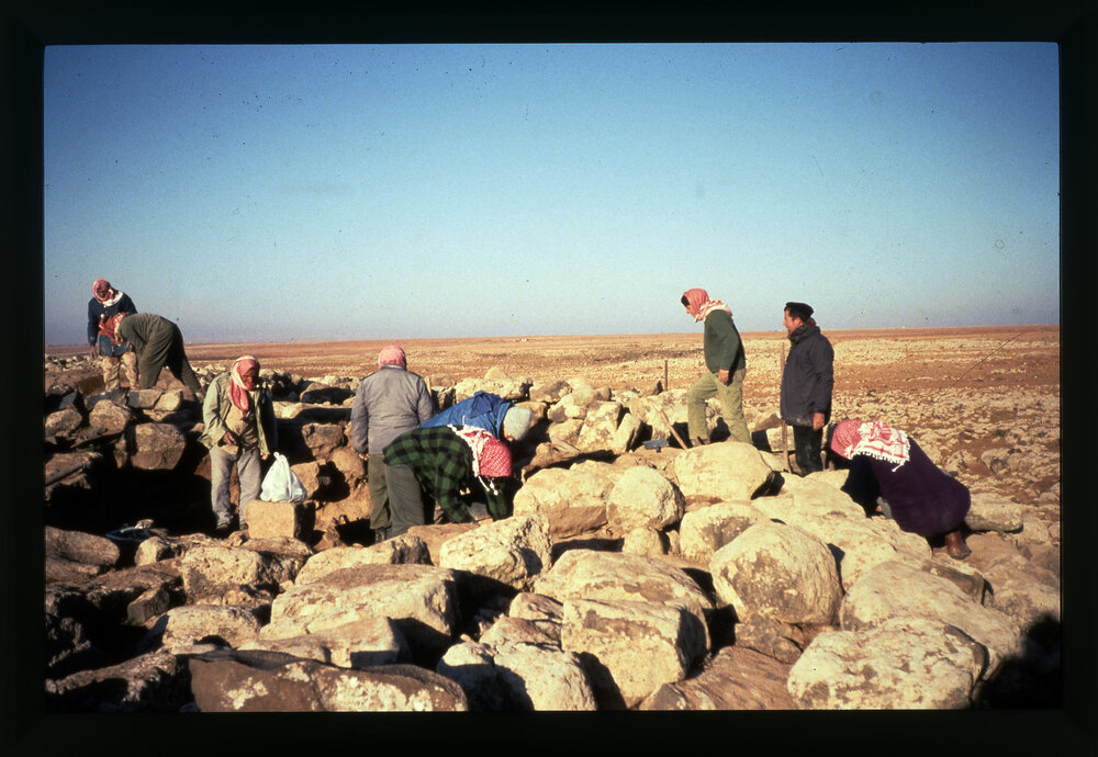 Archaeology Students at a Dig