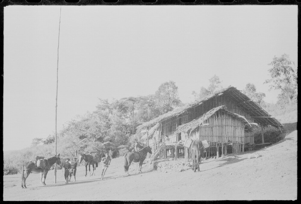 Loading Horses Outside a Building