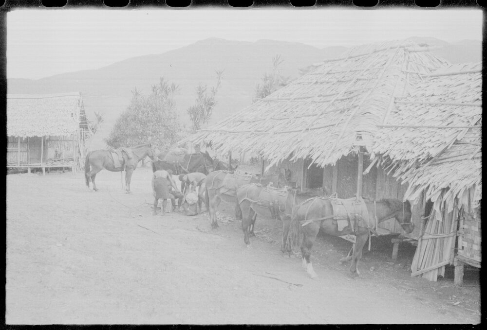 Horses Outside Buildings