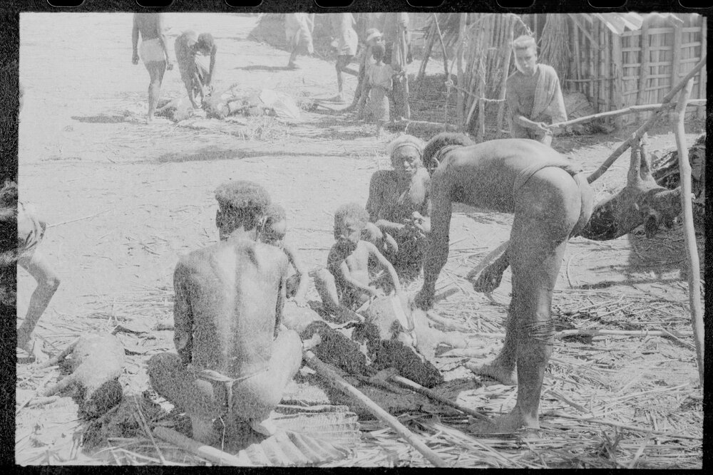 Group Preparing Pigs for a Ceremony