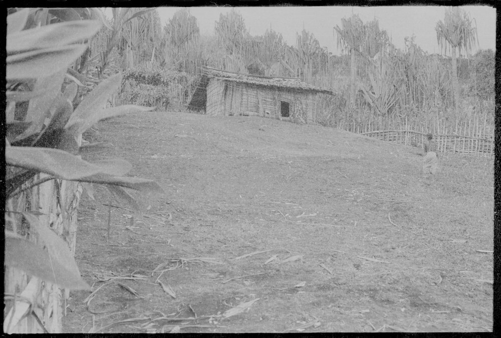 People Walking to Building