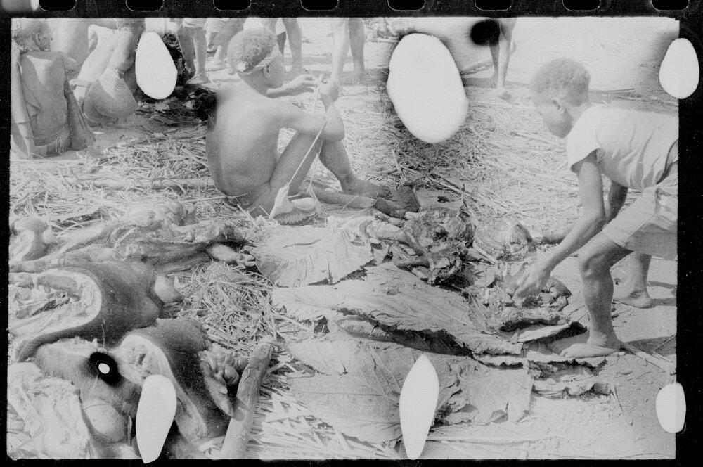 Group Preparing Food
