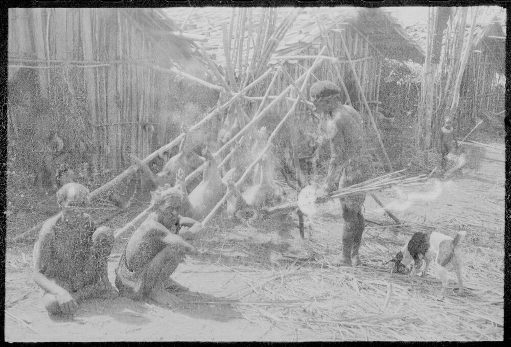 Group Preparing Pigs for a Ceremony