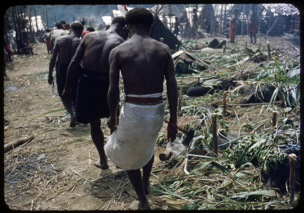 Men Walking Past Slaughtered Pigs